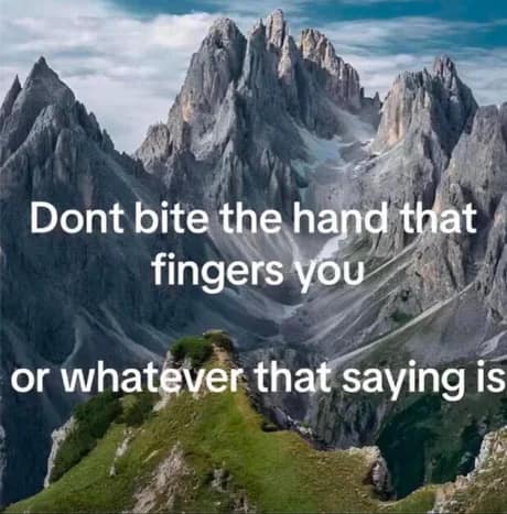 An "inspirational" classic meme background of majestic jagged mountain peaks overlaid with the cursed, botched proverb: "Dont bite the hand that fingers you or whatever that saying is."