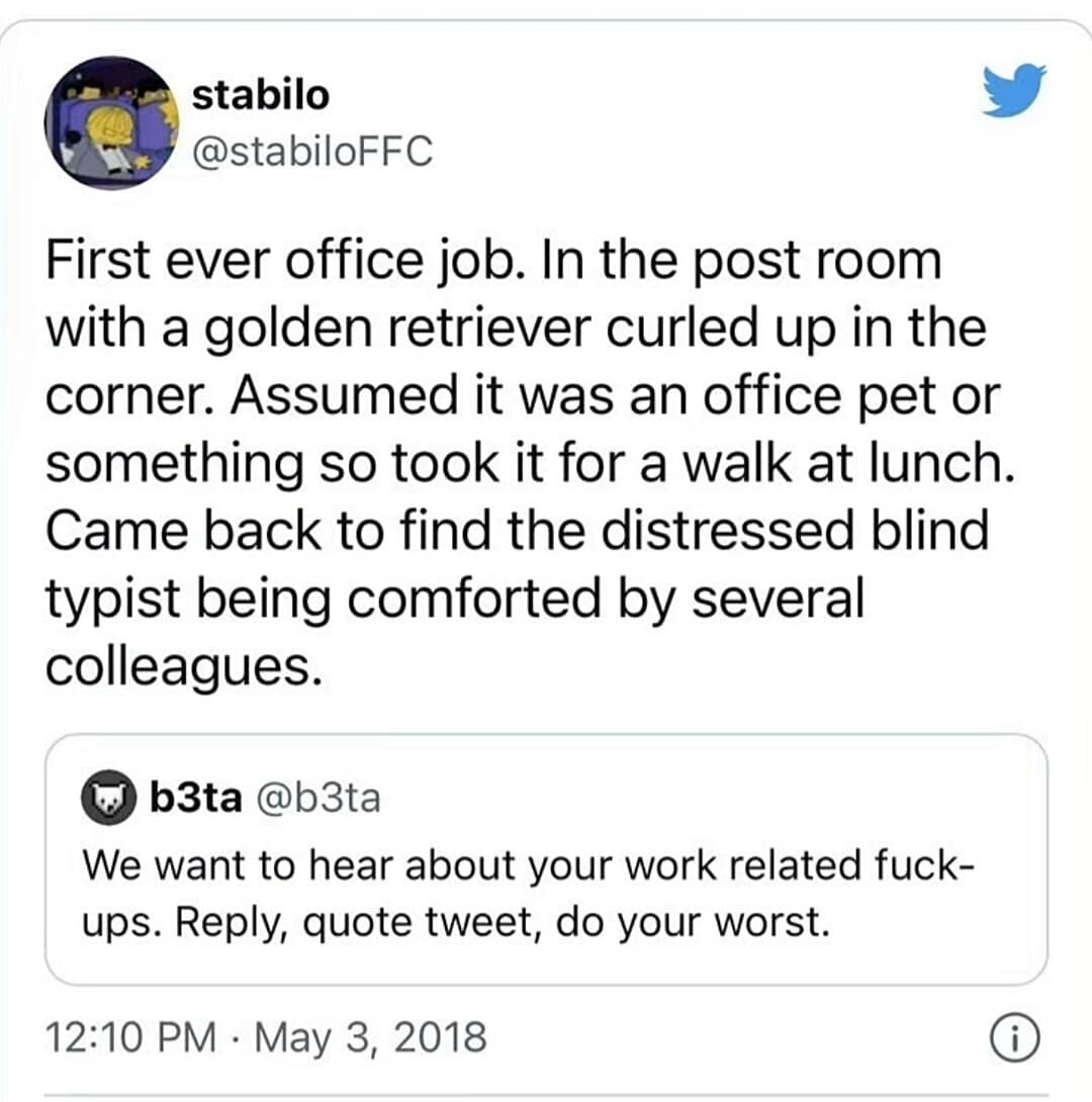 A tragicomic classic meme tweet recounting a workplace "fuck-up" where a new employee took a golden retriever for a walk at lunch, only to discover it was the guide dog for a blind colleague.