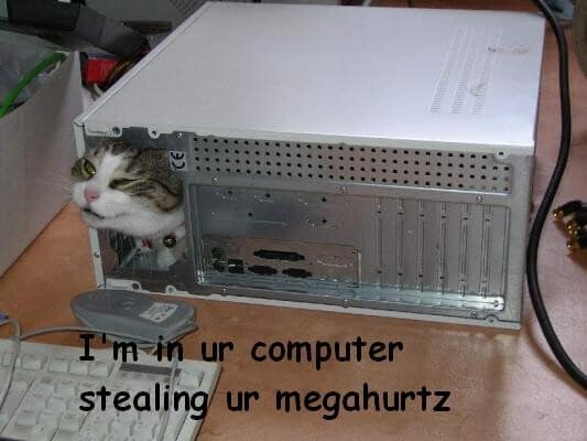 A legendary vintage lolcat image macro details a domestic tabby cat poking its head through an open drive slot in a beige desktop PC tower above the Impact font caption "I'm in ur computer stealing ur megahurtz," serving as a definitive classic meme.