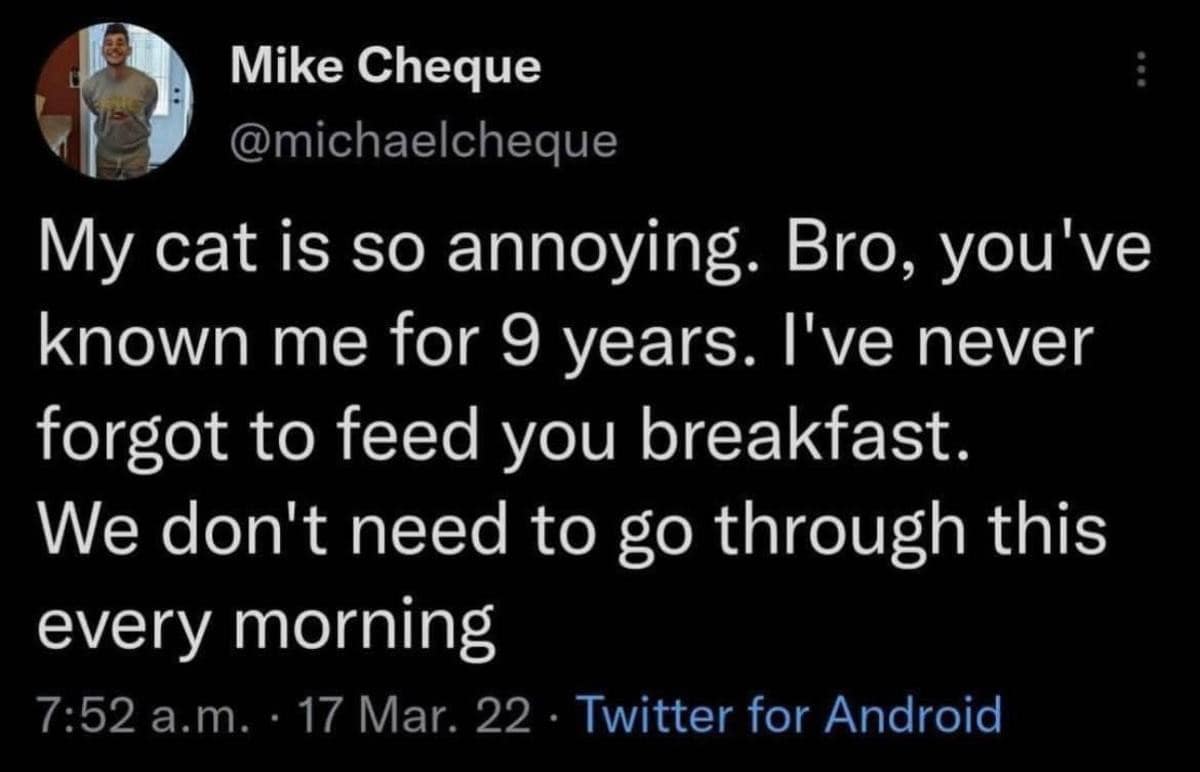 A classic meme tweet from Mike Cheque complaining about his cat's daily morning paranoia over breakfast, reminding the pet that they have known each other for 9 years and he has never once forgotten to feed him.
