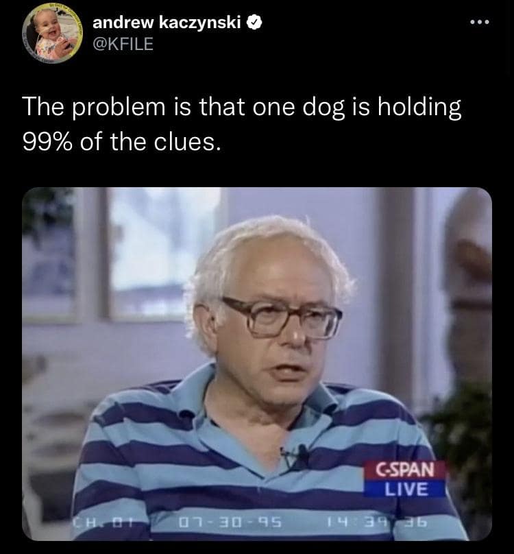 A television broadcast capture of a 1995 C-SPAN interview features a young Bernie Sanders wearing a green-and-white striped polo shirt identical to the kid's show Blue's Clues, creating a brilliant pop-culture classic meme.