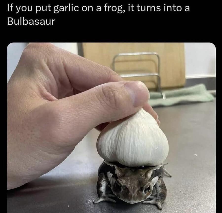 A live-action gaming joke operates as a funny classic meme, showing a hand placing a large whole bulb of white garlic directly onto the back of a small brown toad under the text, "If you put garlic on a frog, it turns into a Bulbasaur."