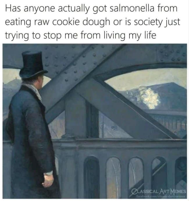 A classical art meme featuring a moody, 19th-century oil painting of a man in a black top hat and long coat, staring pensively off a metal bridge at a distant mountain, paired with text questioning if salmonella warnings are just a societal plot to stop people from eating raw cookie dough.