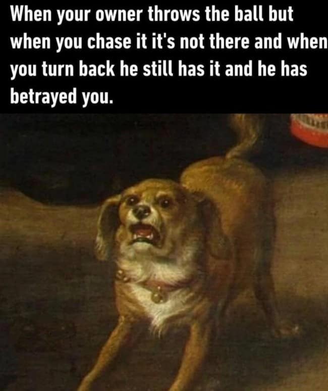 classical art meme featuring a close-up of a small, wide-eyed dog with a look of utter horror from a Renaissance-style painting, used to describe the feeling of betrayal when a human fakes a ball throw and the dog realizes he's been tricked.