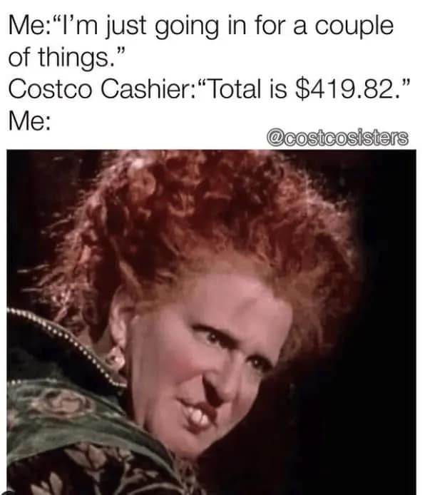Costco meme featuring Winifred Sanderson from Hocus Pocus making a shocked, pained grimace after being told by a cashier that her "couple of things" total $419.82.