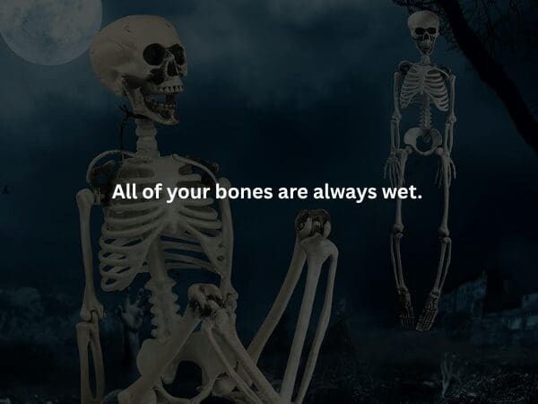 A spooky creepy fact visual featuring a skeleton in a dark graveyard under a full moon, with the short, skin-crawling reminder: "All of your bones are always wet."