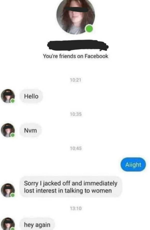 Facebook messenger screenshot of someone explaining their sudden loss of interest followed by "hey again."