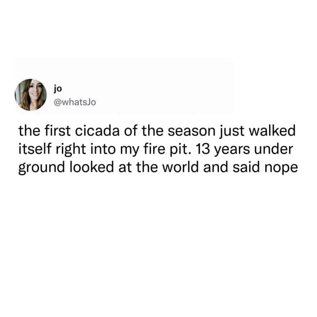 A dark humor meme featuring a tweet about a cicada that spent 13 years underground only to emerge, look at the state of the world, and walk straight into a fire pit.
