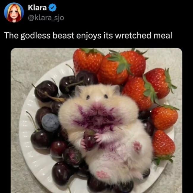 A dark humor meme showing an adorable white hamster with its face and fur stained deep purple from berry juice, making it look like a tiny, blood-covered predator. The text reads: "The godless beast enjoys its wretched meal."