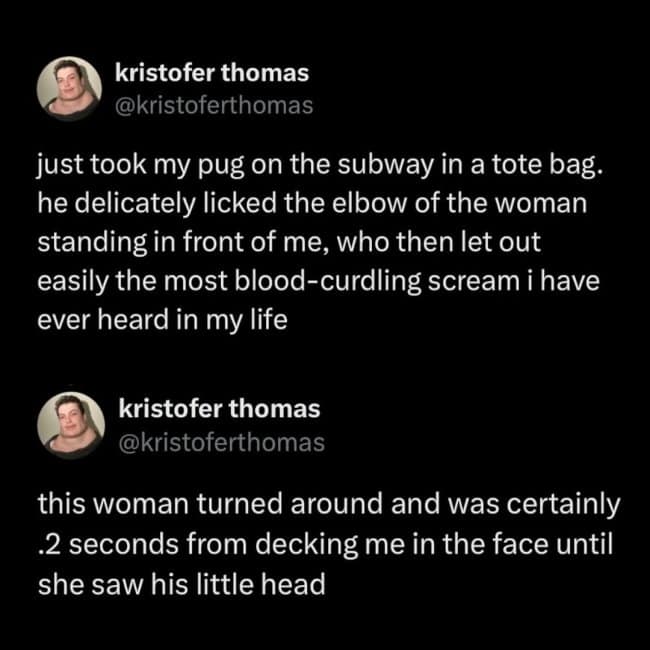 dark humor meme recounting the terror of a woman on a subway who screamed after a pug hidden in a tote bag licked her elbow.