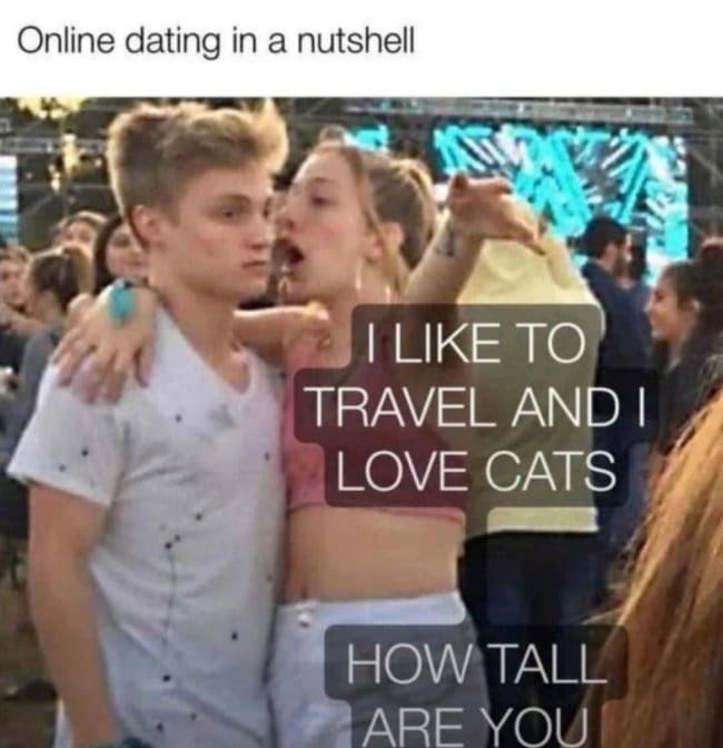 The viral music festival "girl shouting into a guy's ear" image macro serves as a definitive dating app meme titled "Online dating in a nutshell," contrasting standard bio interests against raw height requirements.