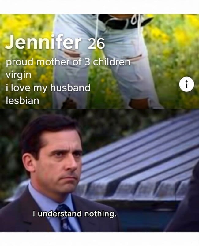 A highly contradictory user profile bio acts as a confusing dating app meme alongside actor Steve Carell as Michael Scott from The Office delivering his classic line, "I understand nothing."