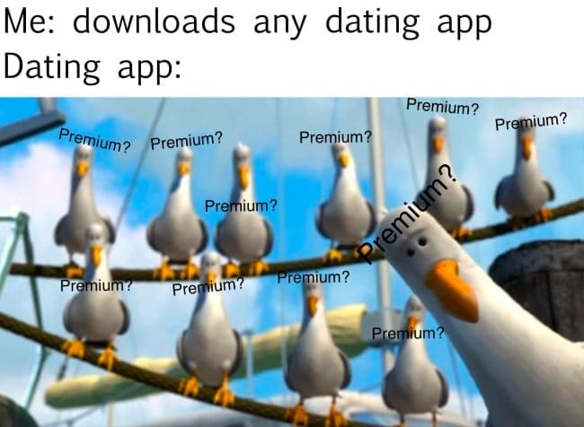 The famous flock of animated seagulls from Disney Pixar's Finding Nemo are edited to scream the word "Premium?" over and over again in an anti-subscription dating app meme layout.