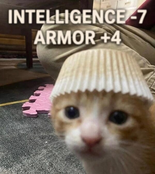 A kitty ready for adventure in this dunny dnd meme.