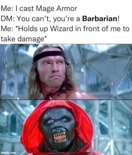 Arnold Schwarzenegger as Conan the Barbarian is paired with a robed fantasy creature to create a clever d&d meme about a Barbarian using a literal Wizard classmate as makeshift "Mage Armor."