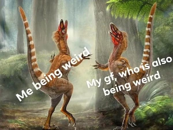 flirty meme showing two prehistoric raptors screeching at each other in a forest, representing the bond between two people "being weird" together.