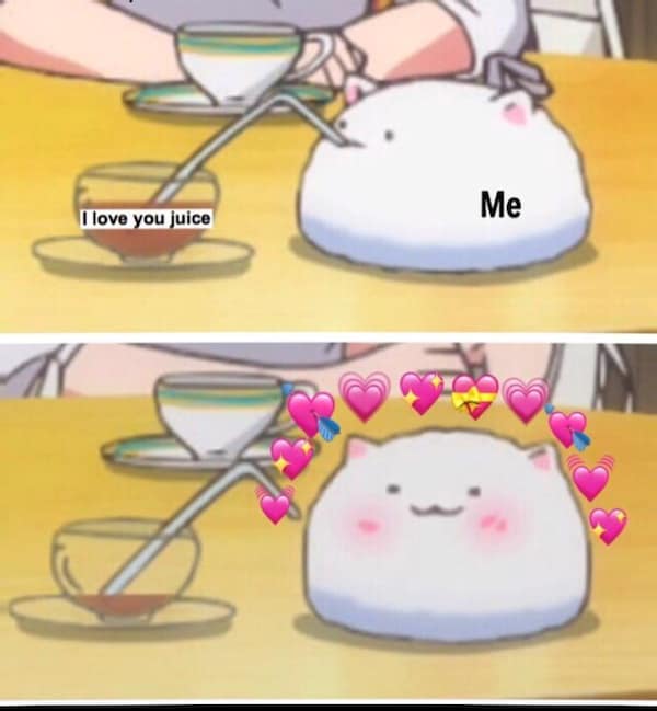 An adorable two-panel flirty meme of a round white cartoon cat drinking "I love you juice" through a straw and immediately sprouting a crown of floating pink hearts.