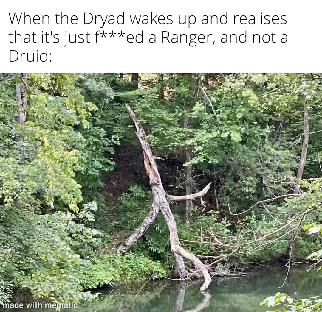 A brilliant nature-based d&d meme showcases a twisted, lightning-struck dead tree trunk that perfectly mimics a stick figure running away from a river bank, captioned as a Dryad's immediate regret upon realizing they slept with a Ranger instead of a Druid.