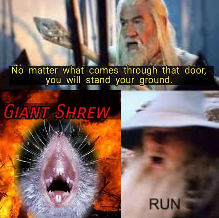 A cinematic three-panel Lord of the Rings layout forms a chaotic dnd meme where Gandalf’s brave order to stand ground in front of a dungeon door is instantly canceled into a panicked scream of "RUN" upon facing a horrifyingly giant shrew monster.