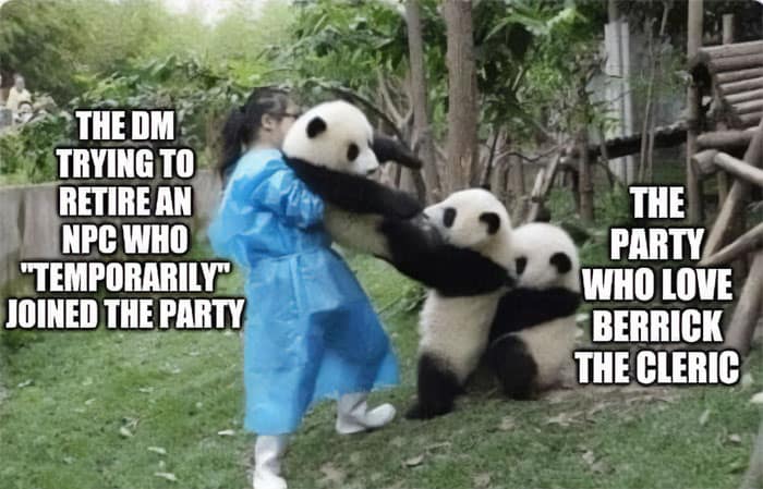 A real-world wildlife photography snapshot forms a hilarious dnd meme showing a zookeeper trying to walk away while multiple clingy panda cubs desperately grab onto her legs, labeled as a DM attempting to safely retire a minor, temporary NPC cleric the party has grown obsessively attached to.