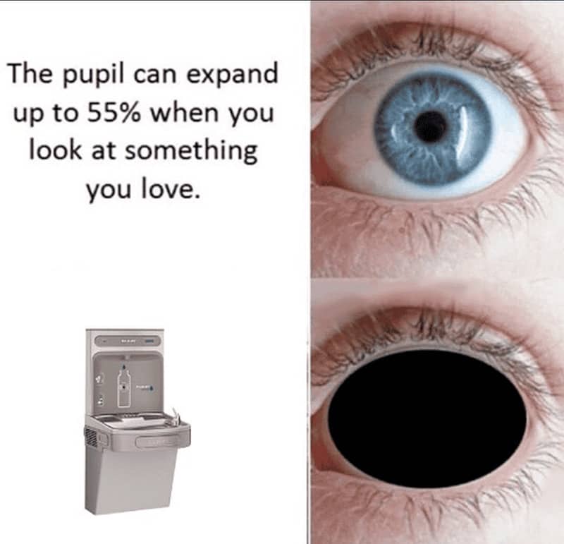 Meme demonstrating a pupil expanding completely when looking at an outdoor water bottle refilling station.