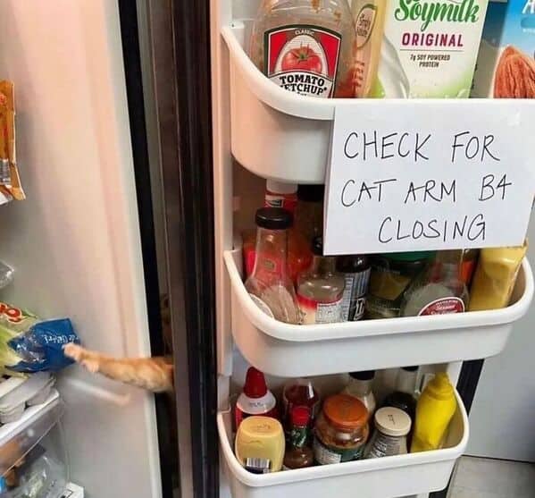 Sign on a fridge door reading "Check for cat arm b4 closing" near a cat paw.