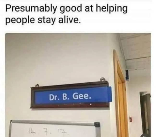 Pun meme featuring an office wall nameplate reading Dr. B. Gee. matching disco lyrics.