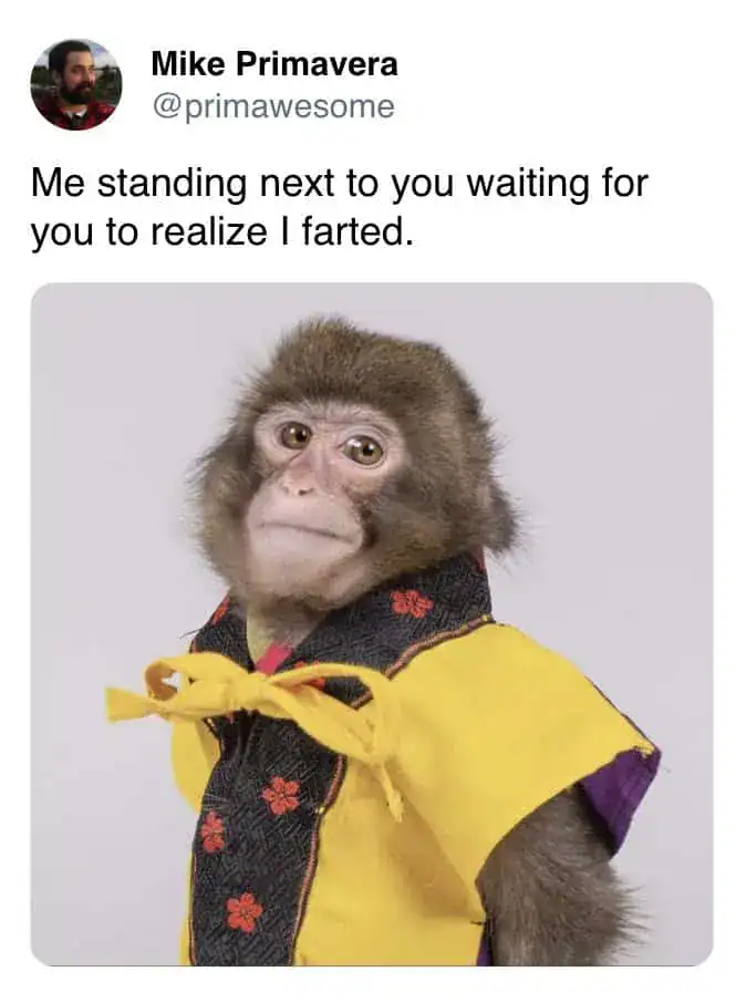 A tweet by Mike Primavera featuring a monkey in a yellow vest with a patient expression, used as a reaction fart meme for waiting for someone to notice a smell.