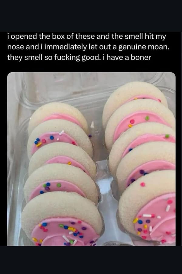 A plastic clamshell container holds a dozen classic soft-baked Lofthouse-style sugar cookies topped with thick pink frosting and rainbow sprinkles in a funny food meme.