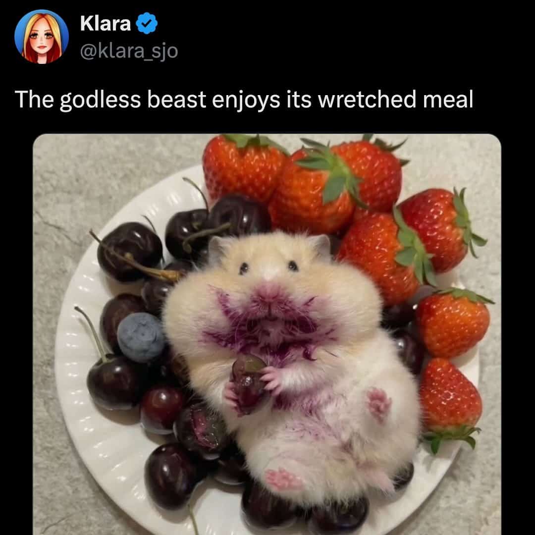 A fluffy hamster covered in berry juice with a dramatic caption about a godless beast.