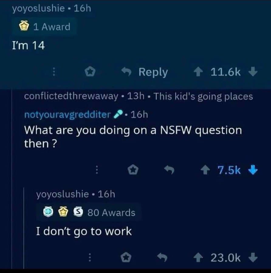 A viral funniest reddit posts exchange where a 14-year-old on a NSFW thread justifies their presence by literal interpretation, stating "I don't go to work."