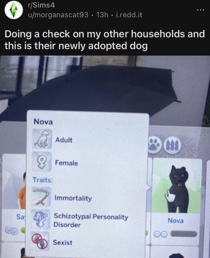 A screenshot from r/Sims4 showing an adopted black dog named Nova who somehow generated the traits "Immortality," "Schizotypal Personality Disorder," and "Sexist."