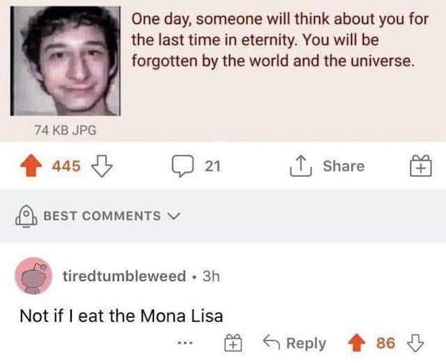 A philosophical Reddit thread about the heat death of our memory being met with a chaotic comment suggesting the user will be remembered forever if they simply "eat the Mona Lisa."