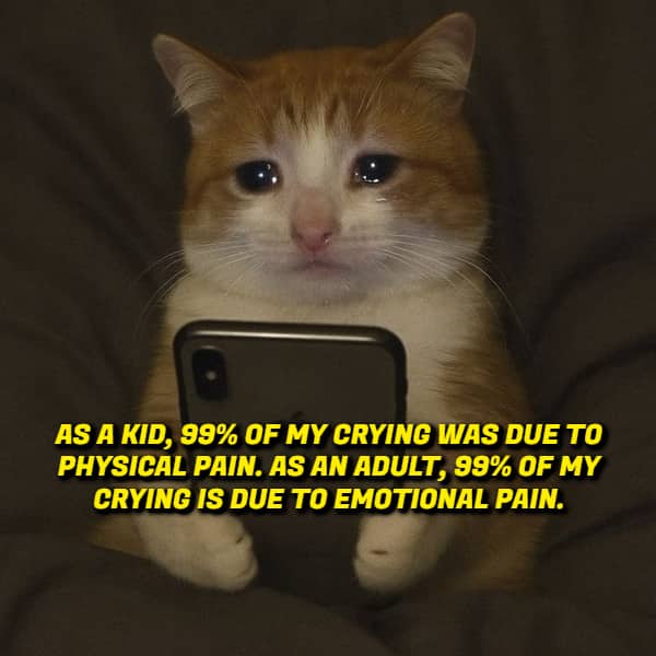 A sad orange cat holding a smartphone with text about adult crying being mostly emotional pain.