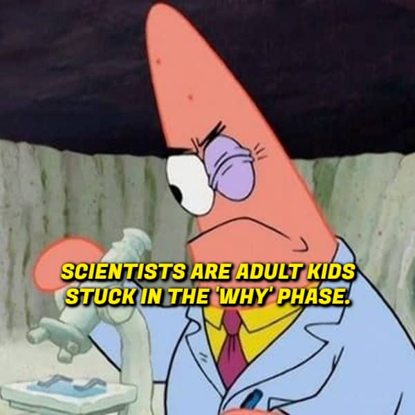 Patrick Star from SpongeBob SquarePants dressed as a scientist looking into a microscope with text about the why phase.