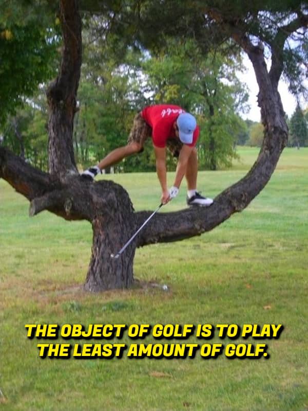 A golfer standing in a tree to hit a ball with text about the objective of golf.