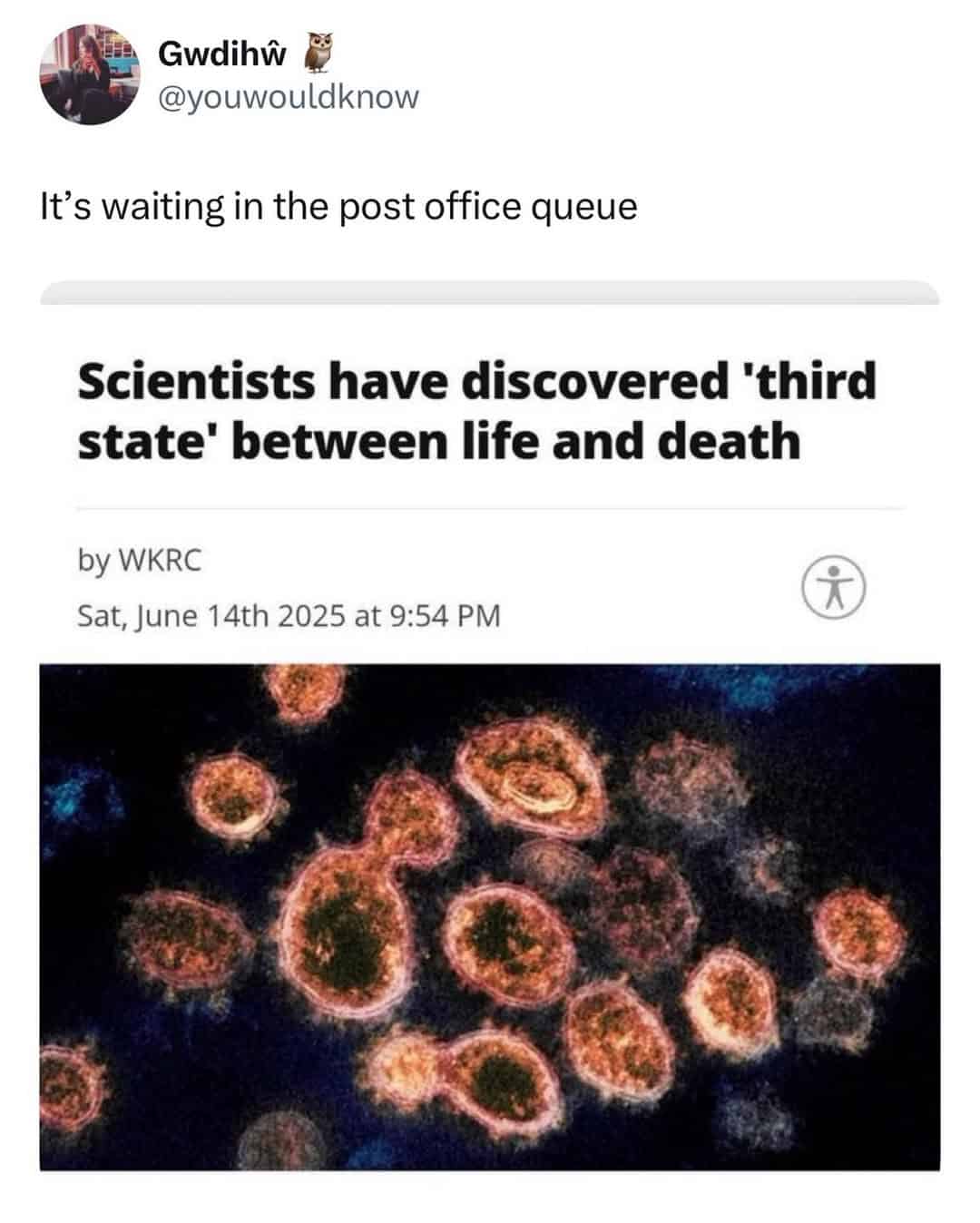 A scientific headline about a third state between life and death is accurately identified as a post office queue in this relatable British meme.