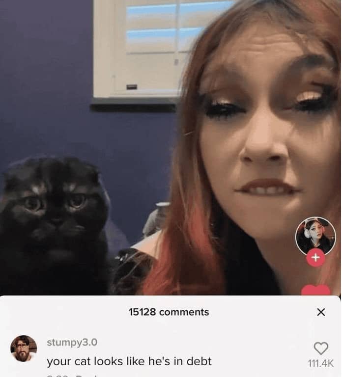 A woman bites her lip while her distressed black cat looks in debt.
