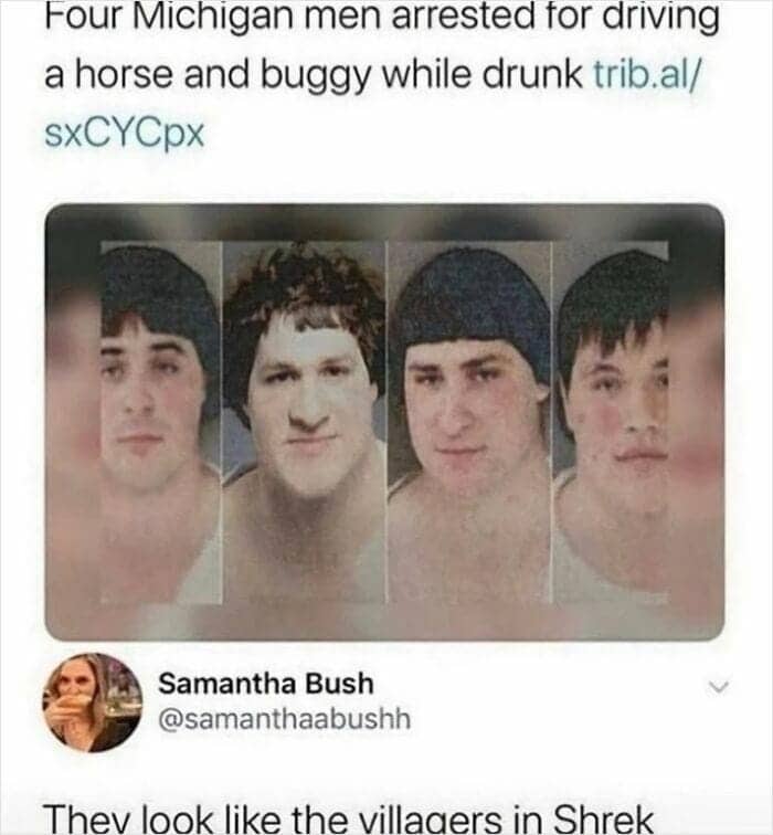 Mugshots of four Michigan men arrested for drunk horse and buggy driving compared to Shrek villagers.