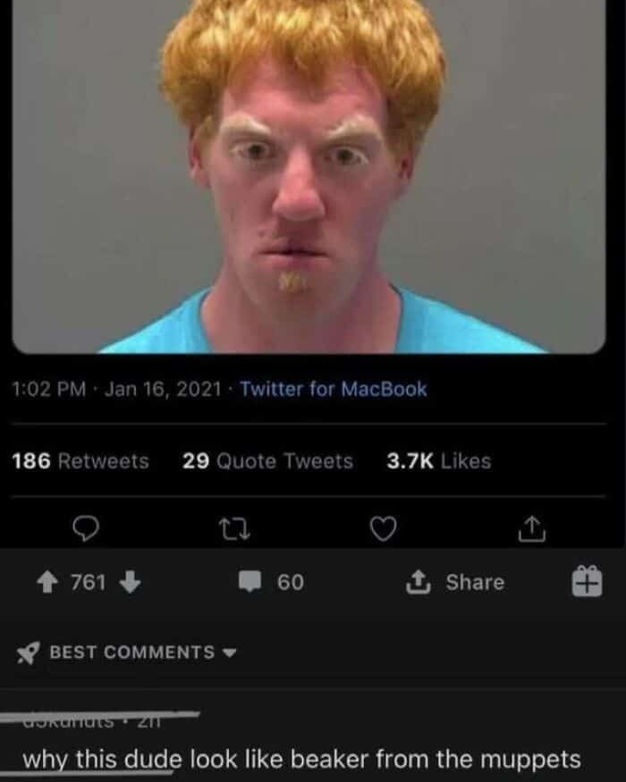 A Reddit user asks why a man's mugshot resembles Beaker from The Muppets.