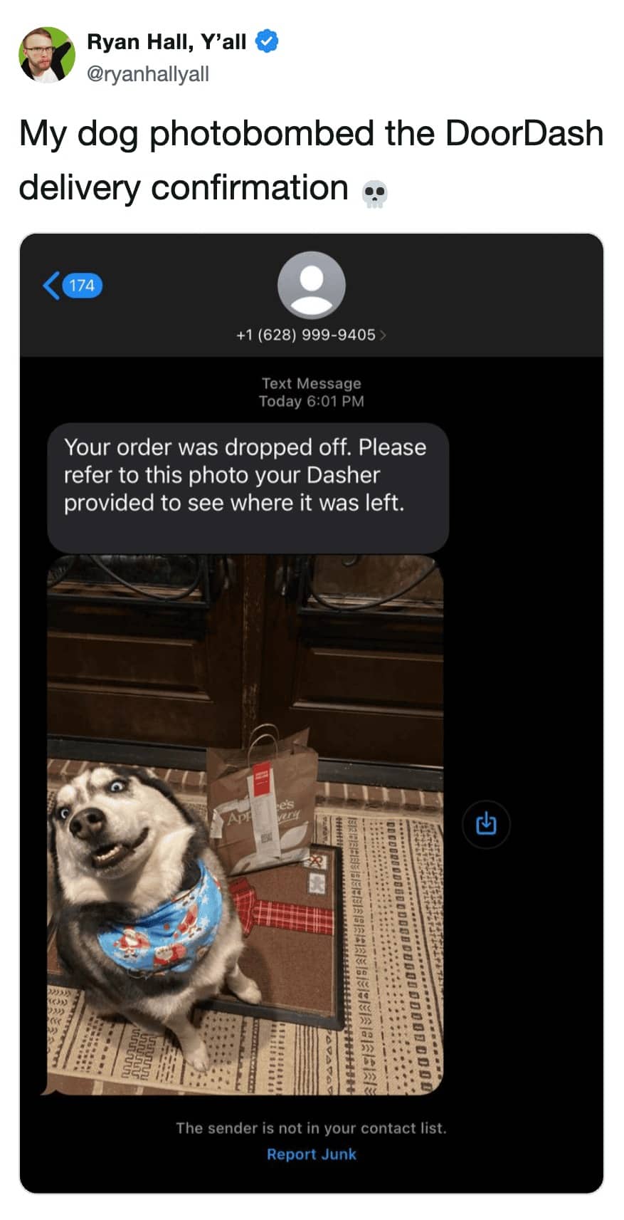 DoorDash delivery confirmation photo featuring a goofy husky photobombing an Applebee's bag.
