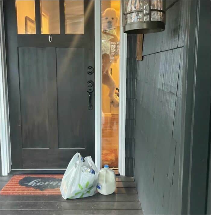 A white poodle standing on its hind legs visible through a narrow side window next to a grocery delivery.