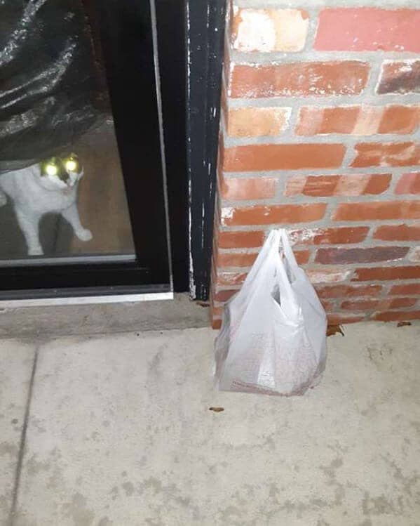 A cat with glowing "laser eyes" stares through a glass door at a bag of groceries.