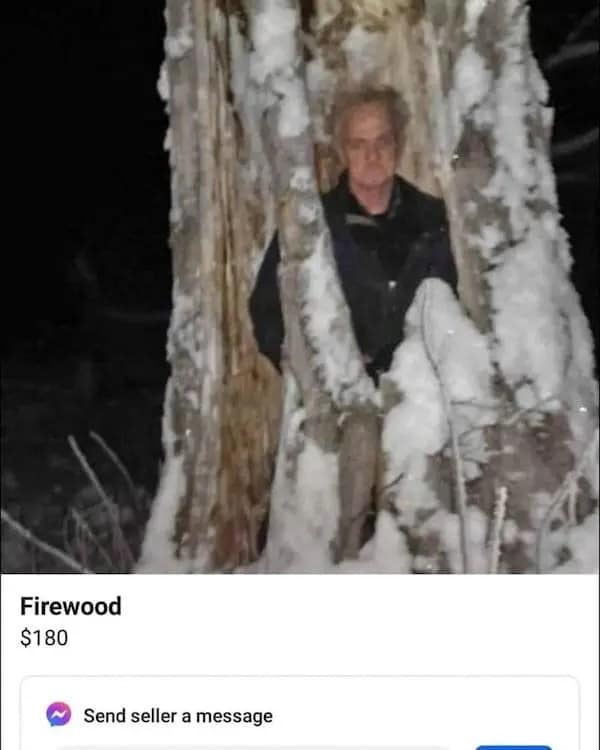 A grainy, flash-lit nighttime photo shows an older man standing inside the hollow core of a massive, snow-covered dead tree trunk in a funny Facebook marketplace ad listing firewood for one hundred and eighty dollars.