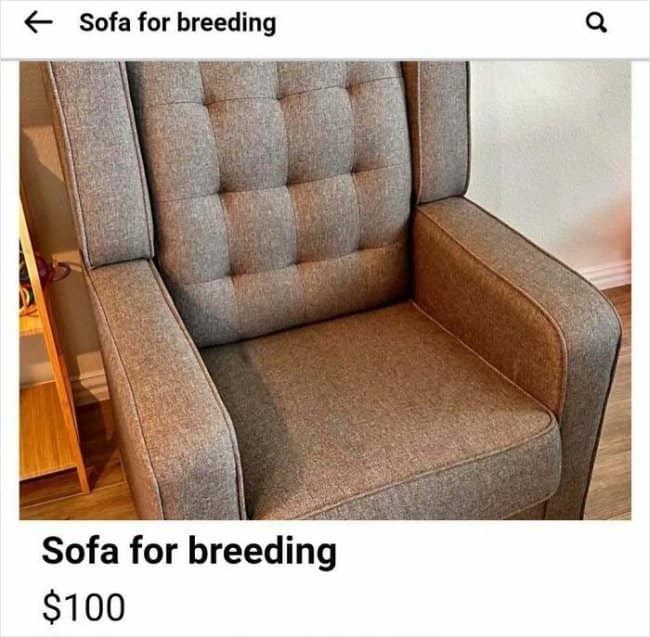 A mobile listing snapshot showcases a grey mid-century tufted armchair with a hilarious auto-correct typo title reading "Sofa for breeding," functioning as a legendary funny Facebook marketplace ad blunder.