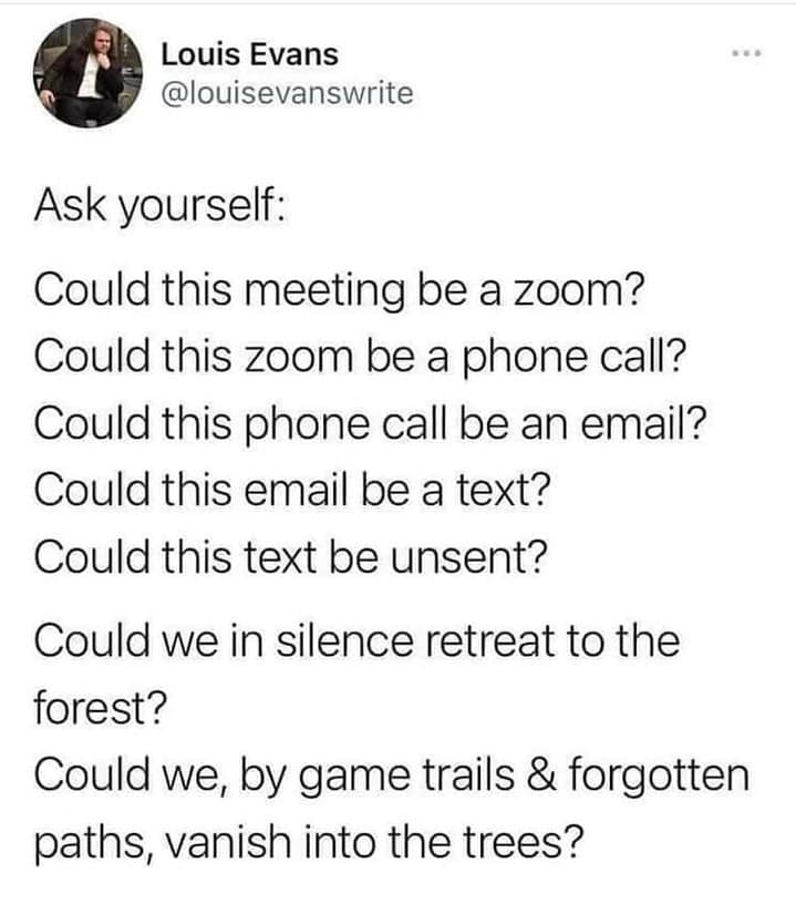 A text screenshot by Louis Evans evolves from common remote work complaints about corporate meetings directly into an existential plea to vanish into forgotten forest trails, a viral funny hiking meme.