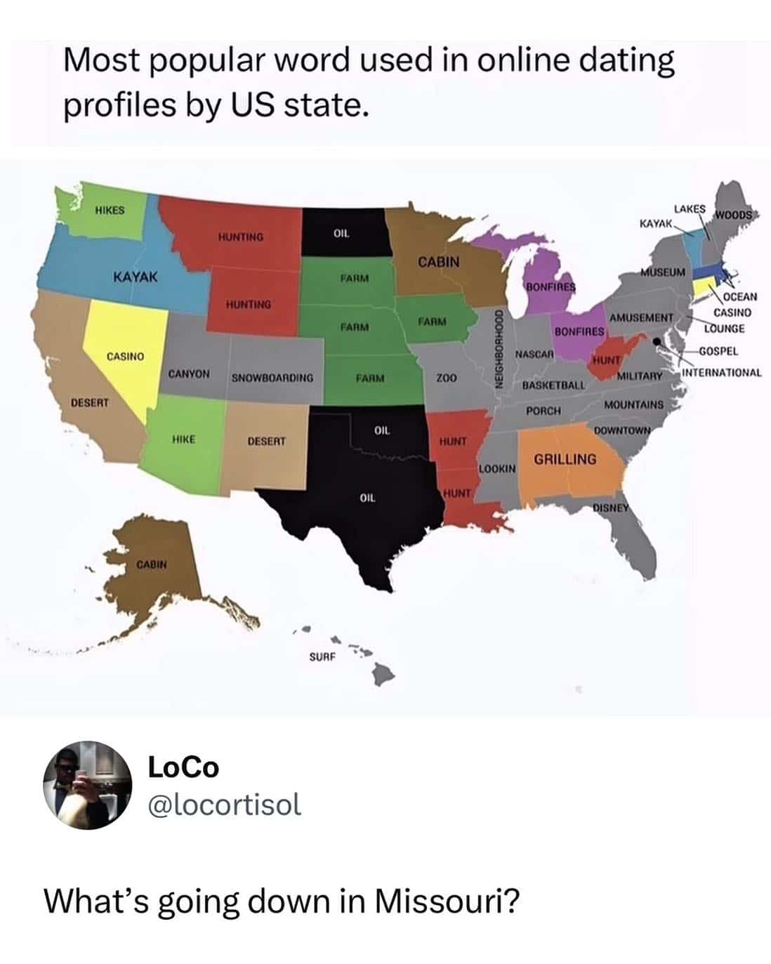 Map of popular dating profile words by state highlighting the word zoo in Missouri.