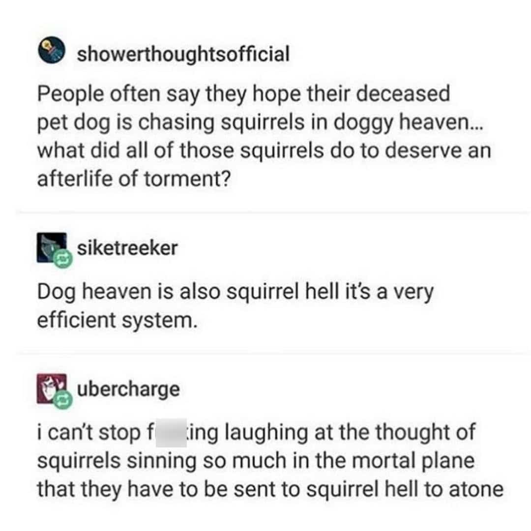 Humorous online discussion about dog heaven being squirrel hell in a very efficient afterlife system.
