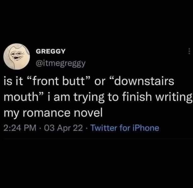 Funny tweet asking for romance novel writing advice regarding awkward descriptions for human anatomy.