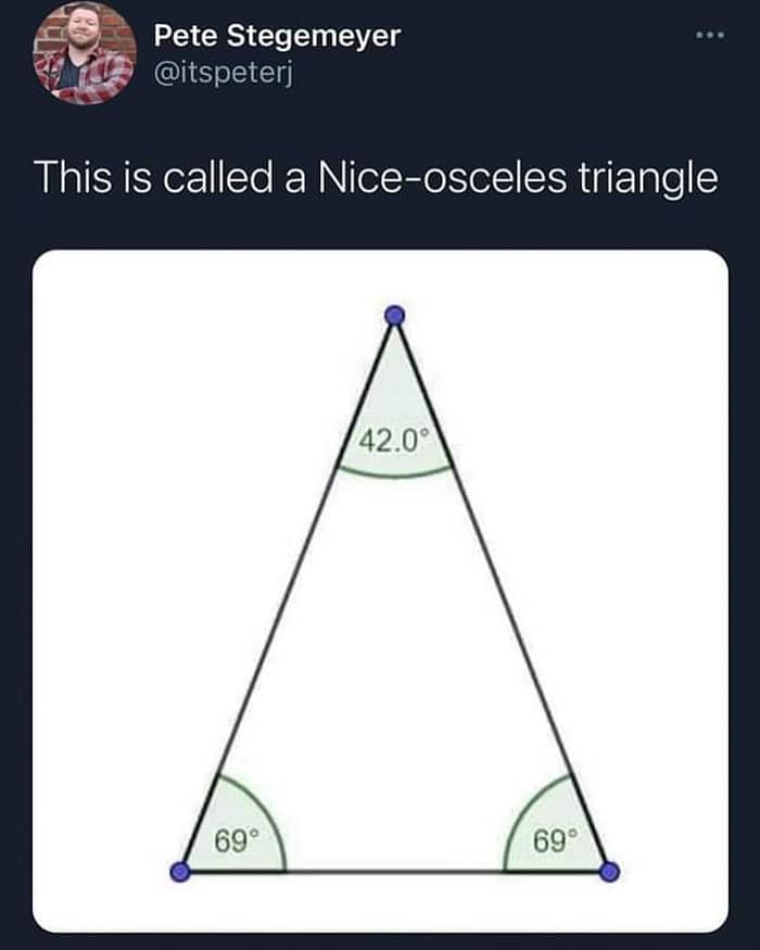 An isosceles triangle math diagram labeled with forty-two and sixty-nine degree angles as a clever pun.
